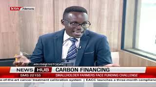 Unlocking Potential: Carbon Financing Initiatives Fueling Kenya's Sustainable Development Goals