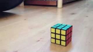 Green men solve a rubik's cube (Animation studio app)