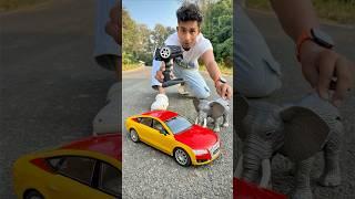 My New Car& Big Size Rc Audi A7 Car Testing