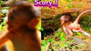 What's Newborn, Draya Scared? So Sad Face...! Primate Kh