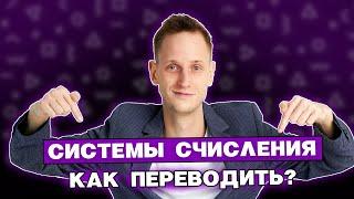 Системы счисления для новичков | ЕГЭ по информатике 2024