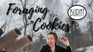 Foraging for Branch Round "Cookies" // Finding & Harvesting Free Burning Canvas