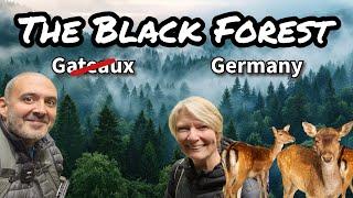 Welcome To The Black Forest #vanlifegermany