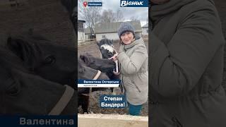 Степан Бандера 