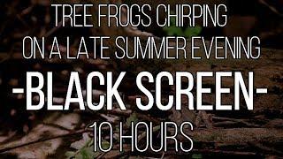 Summer Tree Frogs by the Lake | 10 Hours | Black Screen