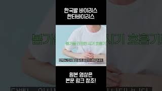 한타