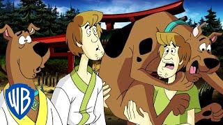 Scooby-Doo! en Français | Le Dragon Vert  | WB Kids