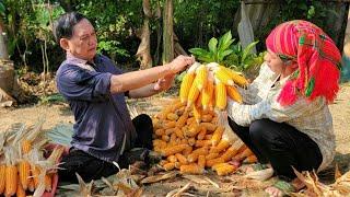 Daughter's Love: Harvesting Corn, Cooking Breakfast for Disabled Father & How to Preserve Corn