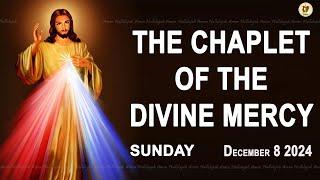 Chaplet of the Divine Mercy I Sunday December 8 2024 I Divine Mercy Prayer I 12.00 PM