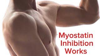 Myostatin inhibition SAVES 51YO from malnourishment, no steroids, no training.