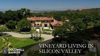 Vineyard Living in Silicon Valley