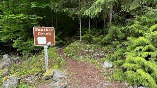 Hike the Panther Creek Trail, North Cascades, Washington | 7.5 miles | Forest, River and Wildflowers