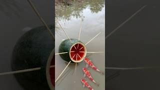 Survival Skills: Single mom with watermelon fish trap #survival #camping #bushcraft #fish