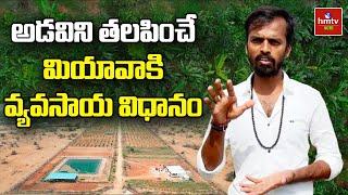 అడవిని త‌ల‌పించే మియావాకి వ్యవసాయ విధానం | Nelathalli | hmtv Agri