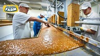 AMAZING Protein Bars Factory! This is How Your Protein Bars Are Made!