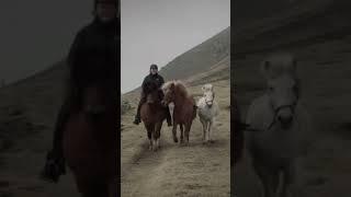 A Postcard from Skjaldborg Iceland Documentary Film Festival