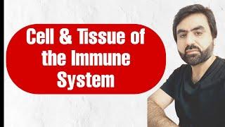 Lec4 | Cell & tissue of the Immune system | Cells & tissues of innate & adaptive immunity | Urdu/Hn