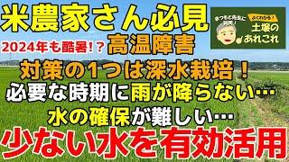 イネの高温障害対策　深水がポイント　田んぼの水確保