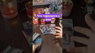 Что торопится к вам ️#таро #онлайнгаданиеналюбовь #tarot