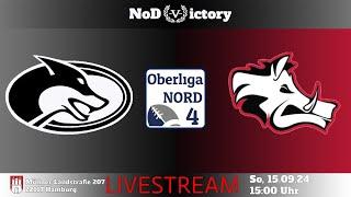 Oberliga Nord | Hamburg Huskies VS Lüneburg Razorbacks | 15.09.2024 | 15:00 Uhr