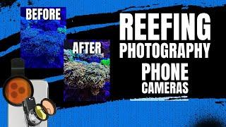 Reef Aquarium Photography and Videography - Part 1: Phone Cameras