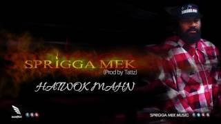 Sprigga Mek - HATWOK MAHN (Prod by Tattz) 2017