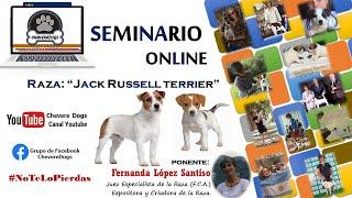 JACK RUSSELL TERRIER | SEMINARIOS ONLINE | FEAT. FERNANDA LÓPEZ SANTISO | #CHEVEREDOGS