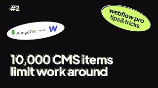 10,000 CMS items Webflow limit work around