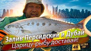  Морская рыбалка в Эмиратах. Что можно поймать с берега?