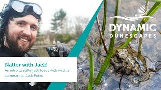 Natter with Jack: Natterjack Toads with Wildlife Cameraman Jack Perks