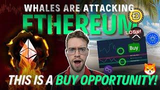 Whales Attempt To SCARE Ethereum Retailers! (We Are BUYING!)