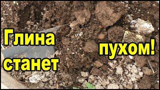 Глина станет как пух! Личный опыт как разрыхлить тяжелую почву.