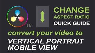 How To Change Resolution In Davinci Resolve 18 To Vertical 9:16
