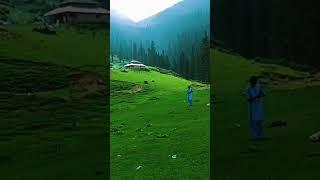 The Beauty of Meadows #shortvideo #kpk #viral