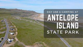 Antelope Island State Park, Utah: Complete Camping Guide