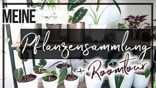 Meine komplette PFLANZENSAMMLUNG + Roomtour | Wo stehen meine ganzen seltenen Pflanzen?!