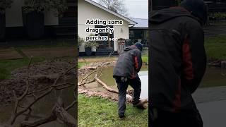 Finishing the Wildlife Pond