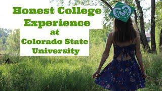 my honest college experience | Colorado State University