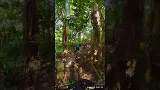 Bukit Timah Singapore | May 27, 2023 #mtb #mtbsg #bike