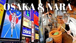 OSAKA & NARA | 2 Days Perfect Itinerary | Japan 2024 | Deer Park | Two Off To