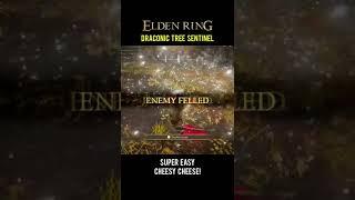 Elden Ring patch 1.04 is still too much CHEESE! #Short