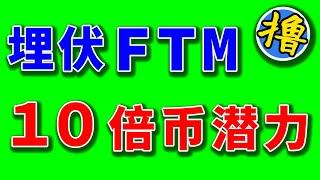 Fantom这个大公链、解锁完全的币可以埋伏一下。大牛市涨10倍没问题