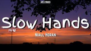 Niall Horan - Slow Hands (Lyrics)