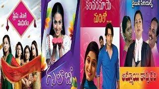 Vanitha TV Telugu Daily Serials with Timeings - Begins from 9th December 2013