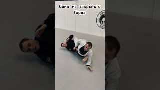 Белый пояс должен знать этот свип!#бжж #джиуджитсу #bjj #jiujitsu