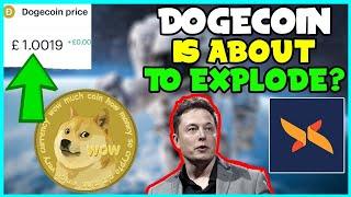 *URGENT* NEWS FOR ALL DOGECOIN INVESTORS FAST! (GREAT NEWS!) Elon Musk, MARKET CRASH, ROBINHOOD!