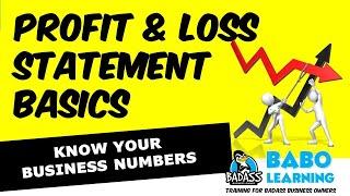 Profit & Loss Statement Basics | Understanding Your Profit and Loss Statement