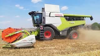 ŽNĚ 2024 sklizeň pšenice Claas lexion 7500 a 2x Zetor