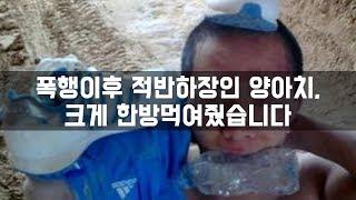 (사이다썰) 폭행이후 적반하장인 양아치, 크게 한방먹여줬습니다 [핵사이다]