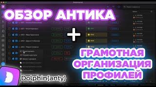 Dolphin Anty — обзор бесплатного браузера для арбитража: регистрация, установка, профили, прокси